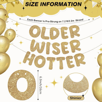 Pre-Strung “Older & Wiser” Glitter Banner